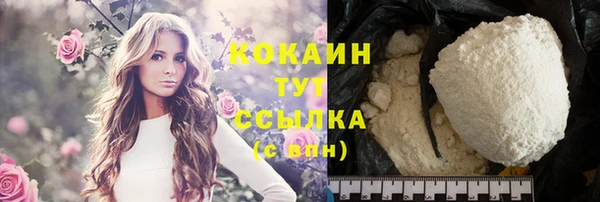 дживик Богородицк