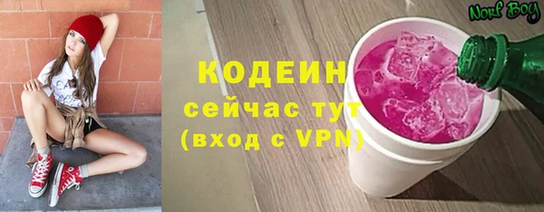 дживик Богородицк
