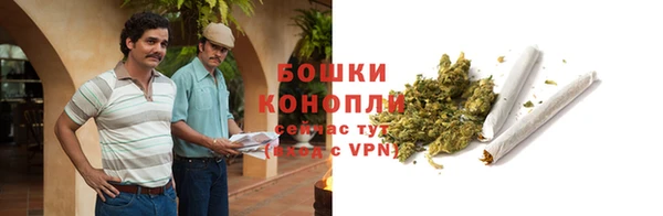 мдпв Бородино