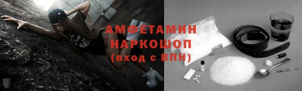 дживик Богородицк