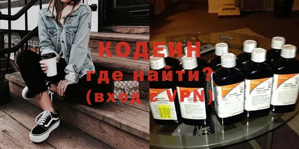 мдпв Бородино