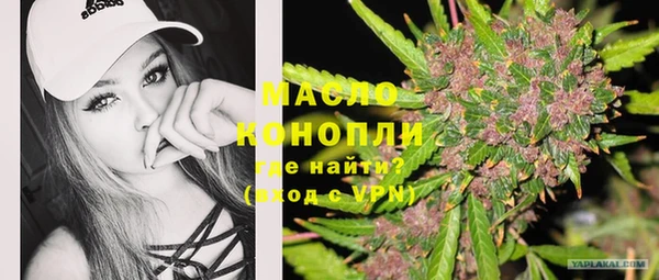 дживик Богородицк